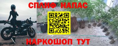 a pvp Донецк
