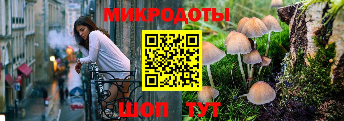 Галлюциногенные грибы прущие грибы Карабулак
