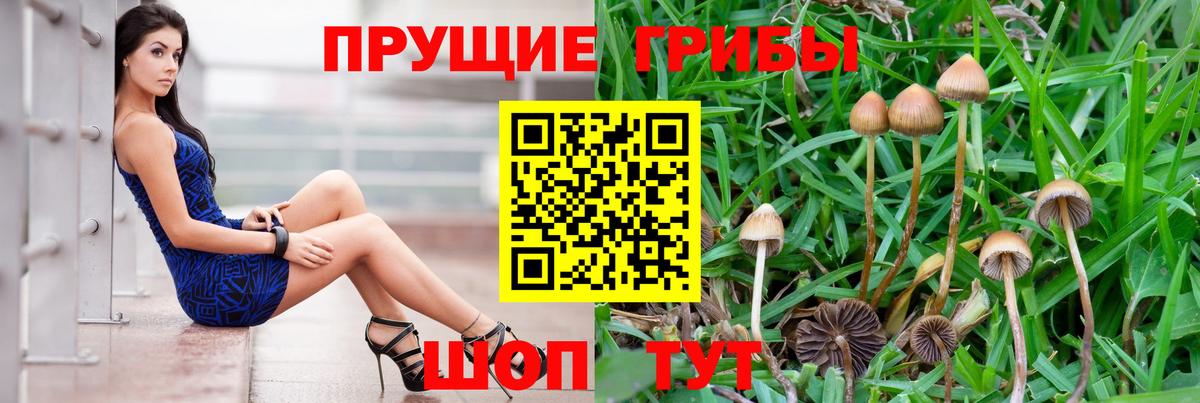 Псилоцибиновые грибы мицелий  Вход с VPN  Псилоцибиновые грибы MAGIC MUSHROOMS  Карабулак 