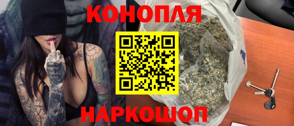 Бошки Шишки планчик Карабулак